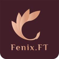 ÐšÐ¾Ð¼Ð¿Ð°Ð½Ð¸Ñ HR- ÐºÐ¾Ð½ÑÐ°Ð»Ñ‚Ð¸Ð½Ð³ Fenix.FT logo