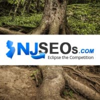 NJSEOs Website Design SEO & PPC Agency logo