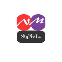 NigMeTa Infotech logo