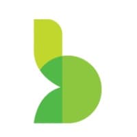 Big SEM Marketing logo