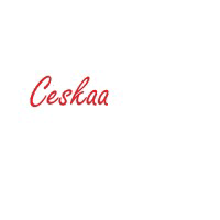 Ceskaa Market Research logo