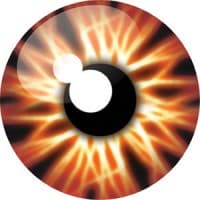 Westways Visual Communications logo