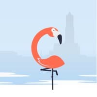 Claimingo BV logo