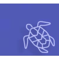 CloudTurtles logo
