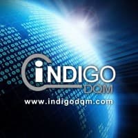 Data Tools for Advanced Data Management Reporting & Analytics by Indigo DQM logo