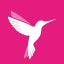 Online Birds logo