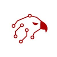 CyberHAWKS logo