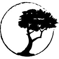 Precipice IP PLLC logo