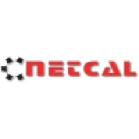 NetCal Consulting logo