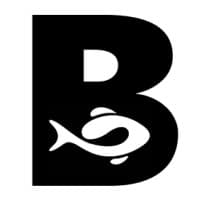 BoldFish Digital logo