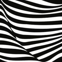zebra logo