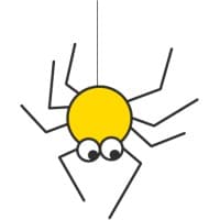 NetSpider logo