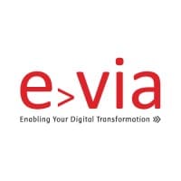 Evia Information Systems Pvt logo