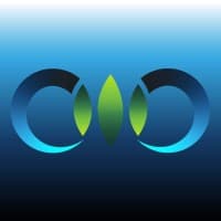 BerenszteinÂ® logo