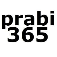 Praschl-Bichler IT Consulting logo