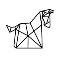 THE COACHULTANTS logo