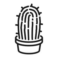 myTalentscout logo