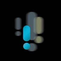 Instinct and Reason logo