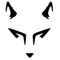 The Wolf Marketing Pakistan logo