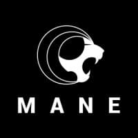 MANE-Design And Marketing Company logo