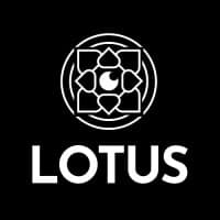 Lotus InteligÃªncia em GestÃ£o logo