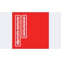 Alpinista Samurai logo