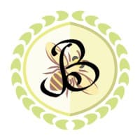 BIBE Consulting logo