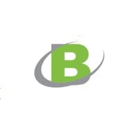 Buzdar Insights logo