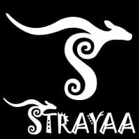Strayaa IT Solutions logo
