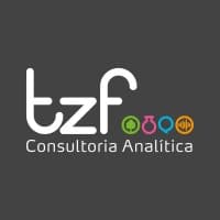 TZF Consultoria Analitica logo