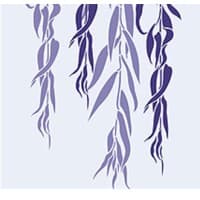PURPLE SALIX LIMITED logo
