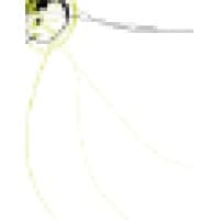 ARO Virtual Assistants logo