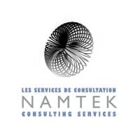 Namtek Consulting Services logo