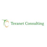 Teranet Consulting logo