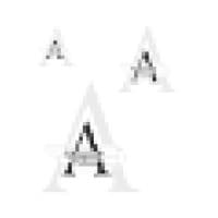T. Aloise & Company logo