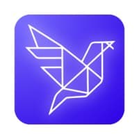 e-Perceptions logo