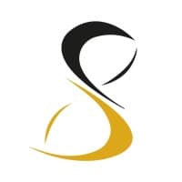 Groupe DÃ©fis et StratÃ©gies logo