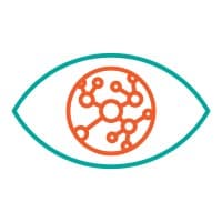 Netnografica logo