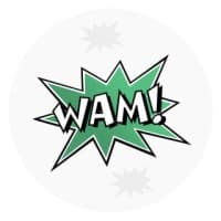 WAM Strategies logo