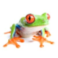 Content Frog logo