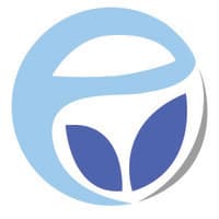 Essence IT Solutions logo