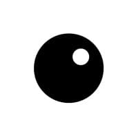 Vision Paradox logo