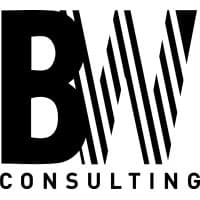 Bizwize Consulting logo