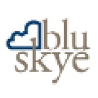 Blu Skye Consulting logo