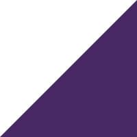 PRECISIONscientia logo
