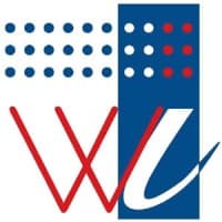 Wide Infotech P. Limited logo