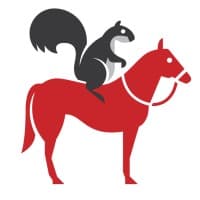 Big Squirrel logo