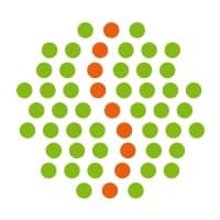 SCANBRAINS logo