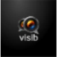 Visib logo