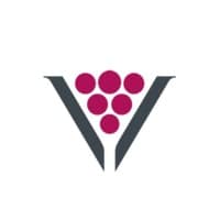 Visirius logo